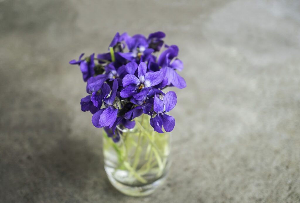 bicchiere d'acqua pieno di violette