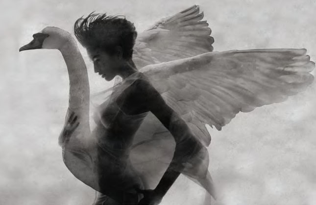 moda in volo - nella foto una donnaa nuda con alle spalle un cigno con le ali aperte