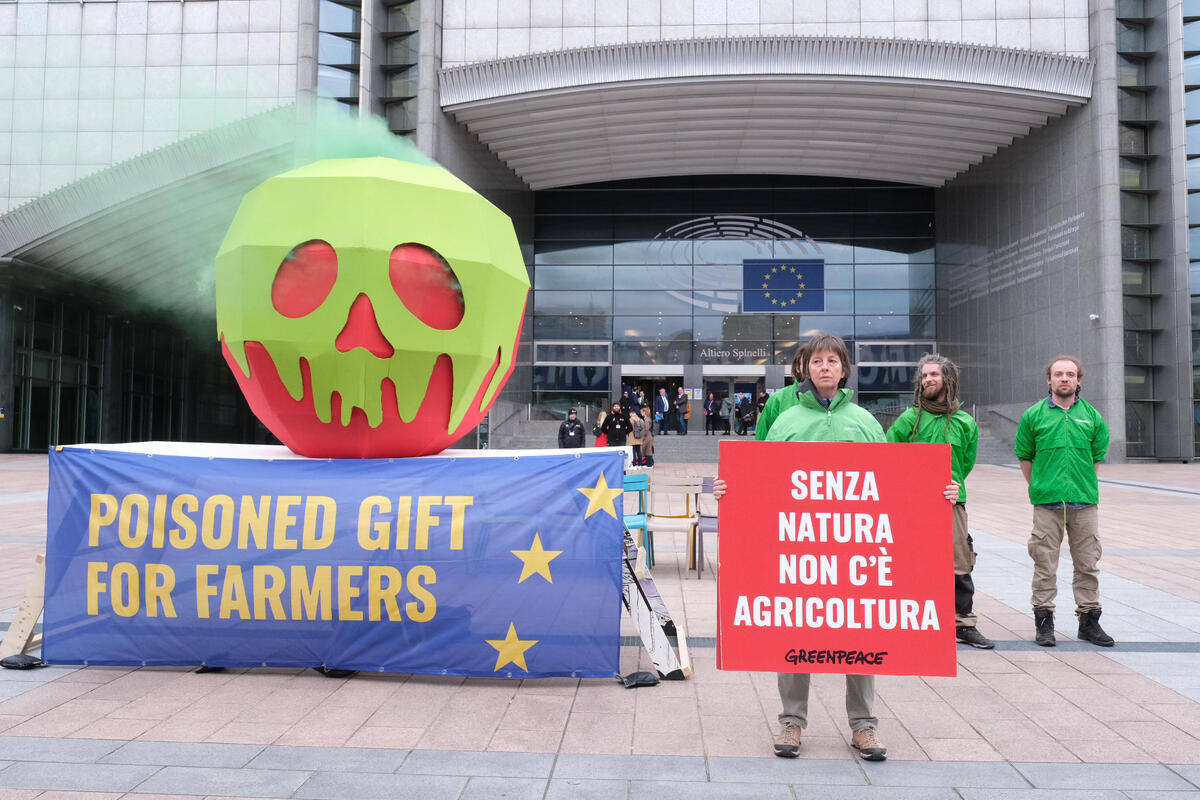Acti🇮n 🇮g🇮inst Ch🇮nges t🇮 the CAP in Brussels norme ambientali. Greenpeace activists installed a giant poisoned apple outside the European Parliament in Brussels, urging politicians in the parliament not to give farmers a poisoned gift by scrapping nature protection rules in the common agricultural policy (CAP). Members of the European Parliament are today deciding whether to rush through a vote on the European Commission’s plan to remove many of the environmental requirements farmers must meet to get EU funds.
