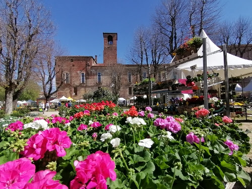 Ortoflora e natura 34ma edizione - dei giardini fioriti e sullo sfondo il castello di carmagnola