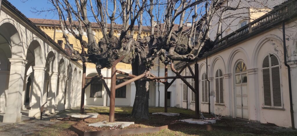 foto attuale del giardino in cui avvenne l'incontro tra lo Smemorato di Collegno e giulia Canella - Ph Monica Col