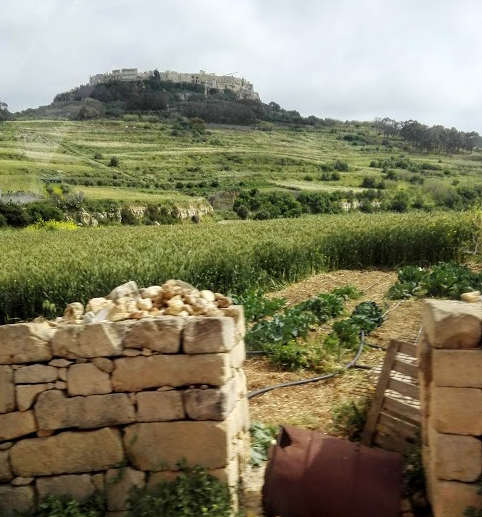 interno delle isole