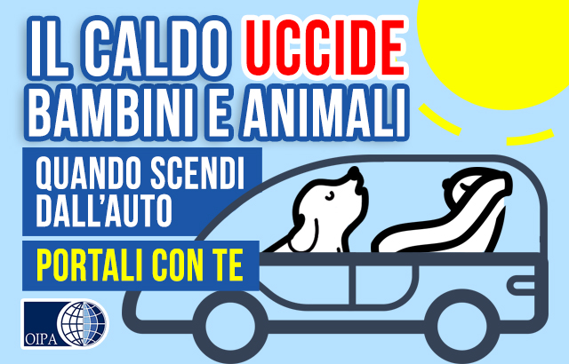 Lasciare un cane in auto al caldo è reato . la locandina con il disegno di un auto con dentro un cane e fuori un grosso sole