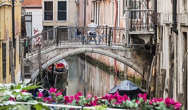 ponte dei Dai a Venezia con fiori sul ponte sfondo del libro amante senza fissa dimora di fruttero e lucentini