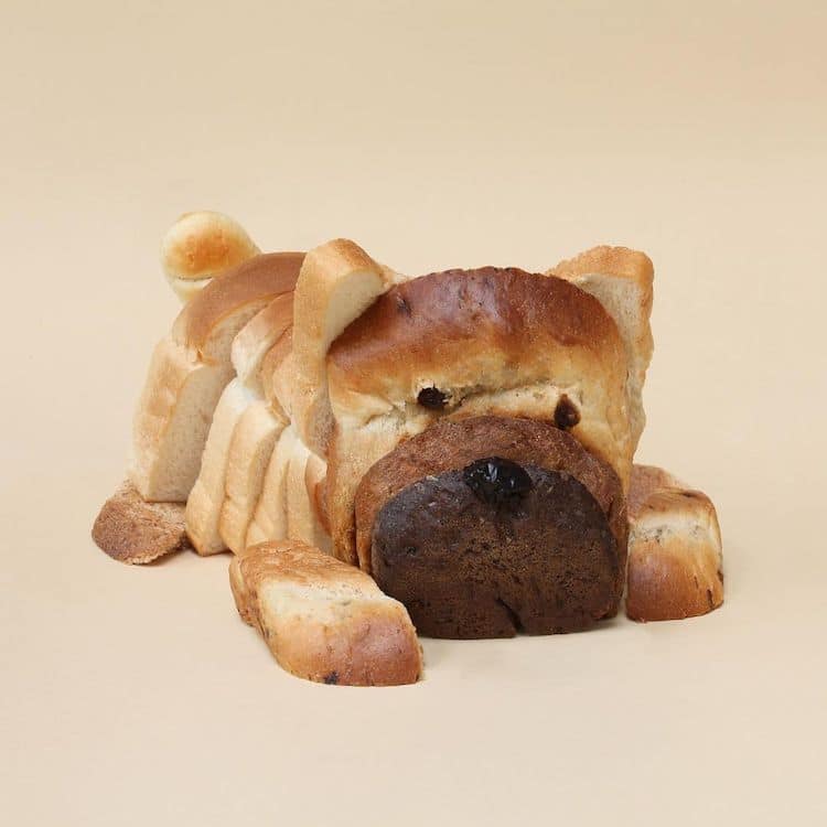 cucciolo di cane creato con pane cassetta