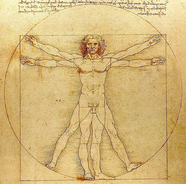 l'uomo vitruviano disegno su carta ingiallita dal tempo