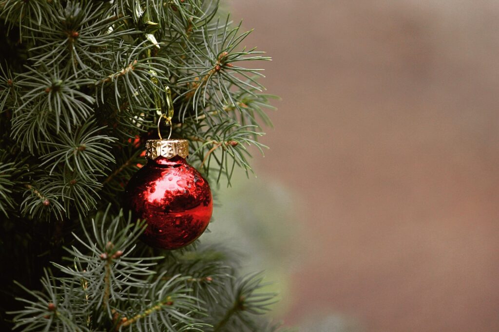 Albero di Natale vero con una pallina rossa attaccata