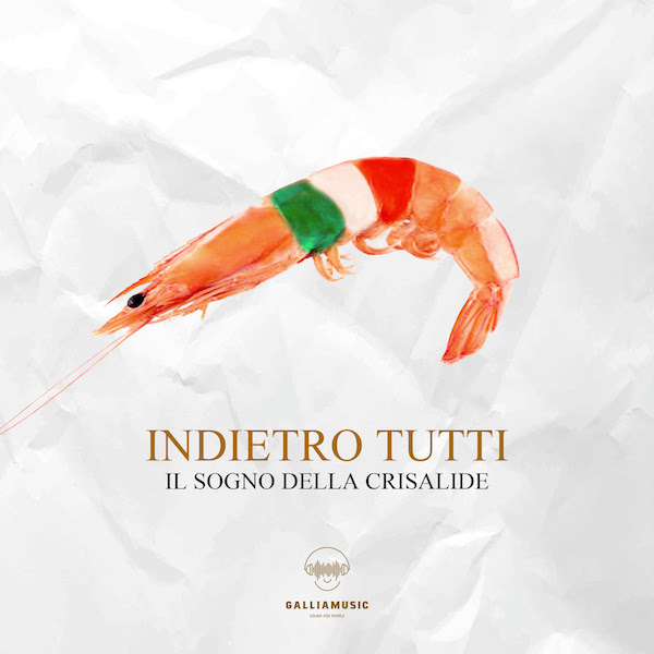 il sogno della crisalide - la copertina del nuovo album che raffigura un gamberetto avvolto dal tricolore italiano