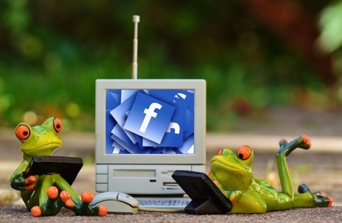 Notizie curiose sui social: verità o suggestione? - l'immagine è buffa: un piccolo monitor da pc con la schermata sulla 