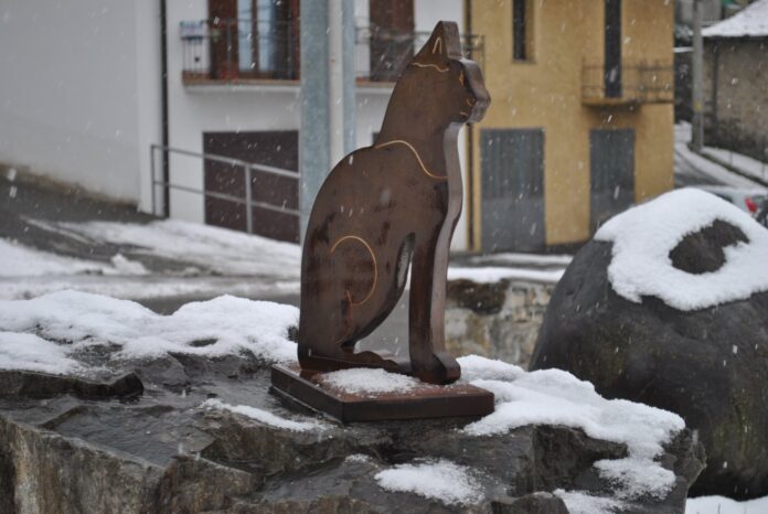 brolo monumento del gatto sotto la neve foto pubblico dominio pagine facebook brolo