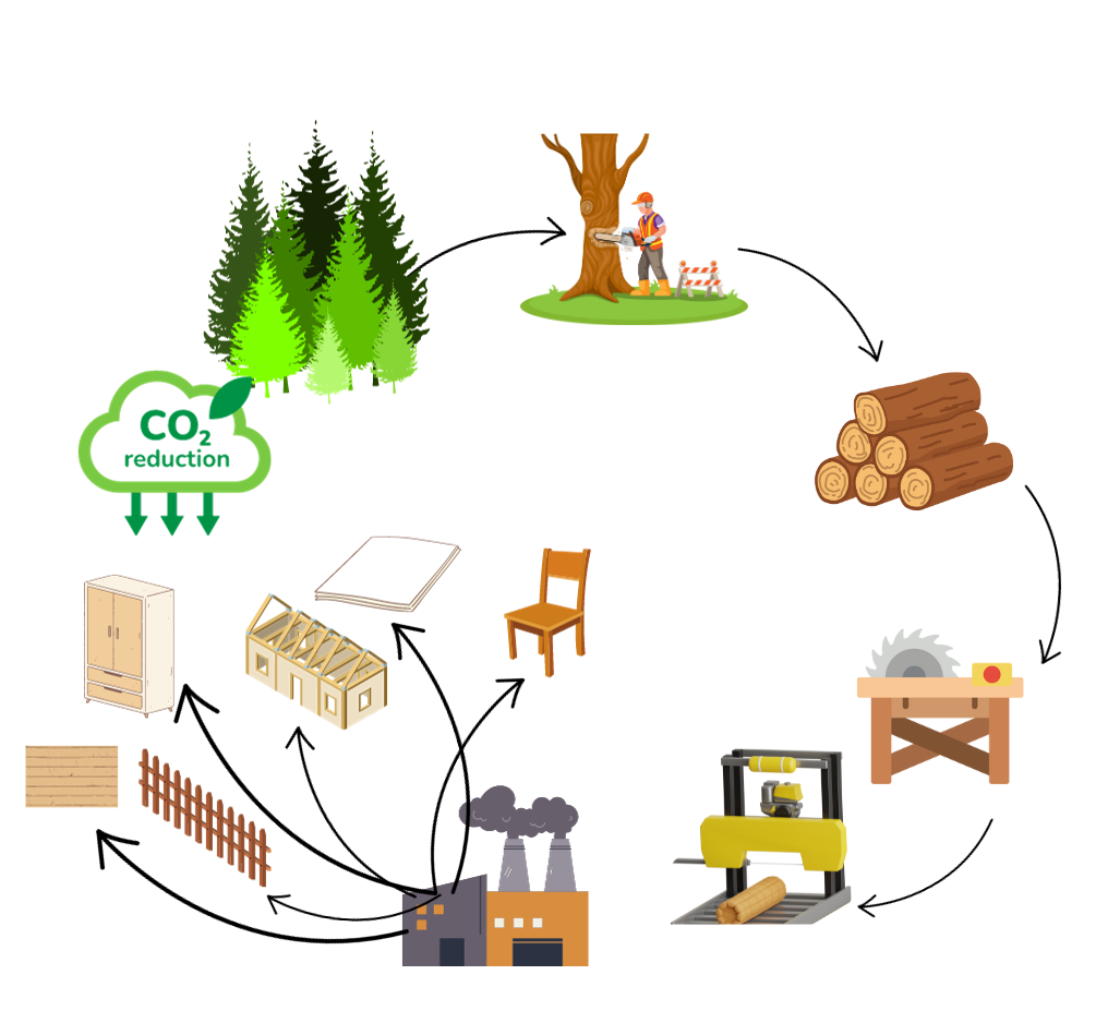 Osaka foreste sostenibili . il disegno rappresenta il circolo della sostenibilità per le foreste: partendo da due alberi di pino freccia cersoil tronco tagliato da un uomo freccia verso una catasta di legno, freccia verso una sega elettrica frecca verso un impianto industriale freccia verso un muletto da trasporto e tante frecce verso un tavolo, una sedia un mobiletto