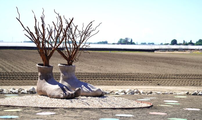Lavoro e welfare aziendale a Ferrara, un parco per il relax dei dipendenti - Zetatielle Magazine - nella foto due enormi piedi di terracotta posati sul terreno, dai piedi partono delle radici verso il cielo