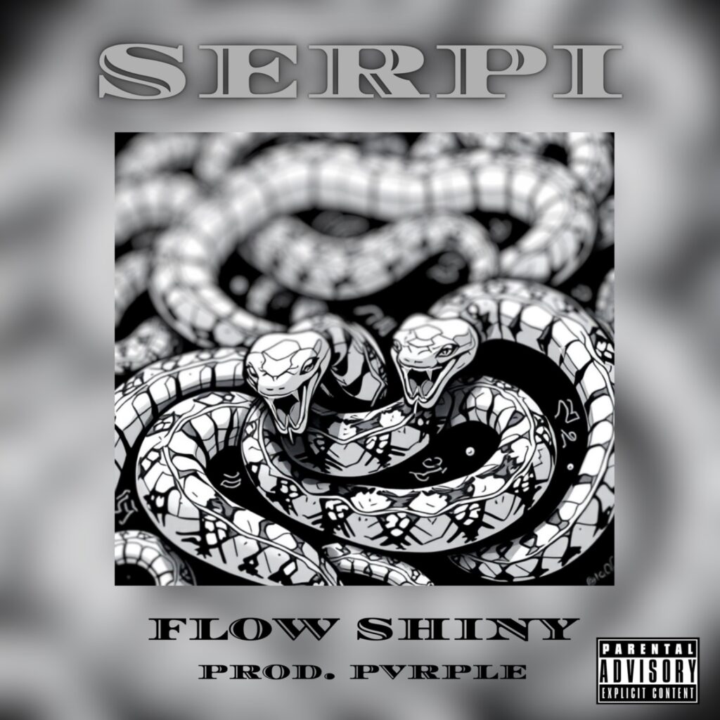 Flow Shinny - la copertina del primo singolo che raffigura una catena a forma di serpente