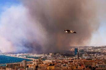 Francia, maxi incendio raggiunge Marsiglia: chiuso aeroporto, treni sospesi