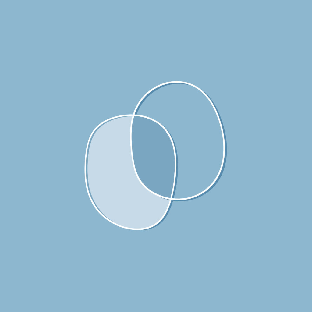 minimal - la copertina del nuovo sinolo