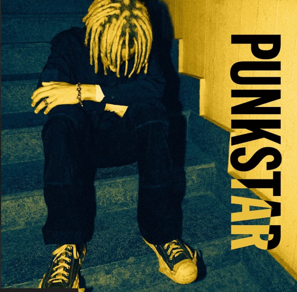 punkstar - nella foto la copertina del nuovo album di radical