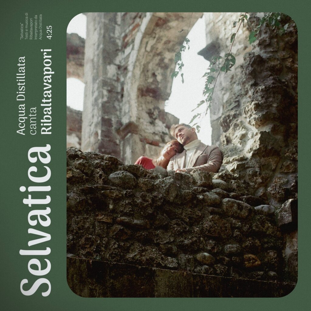 acqua distillata - ribaltavapori - la copertina del nuovo singolo selvatica