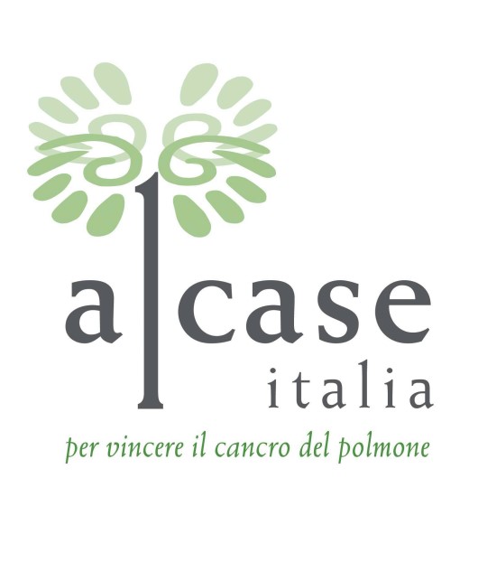 Alcase Italia - il logo
