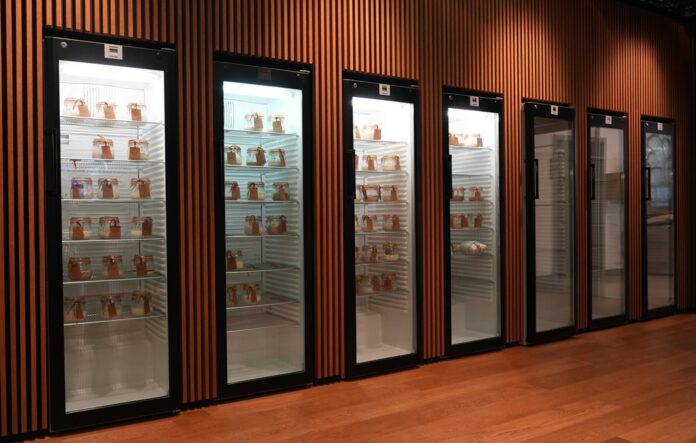 Biblioteca del lievito madre con Delle vetrine frigo illuminate