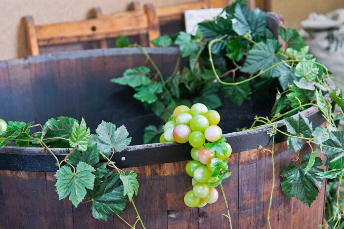 Settembre a tavola - un tino di legno con dei viticci di vite e un grappolo d'uva bianca appoggiato sul bordo