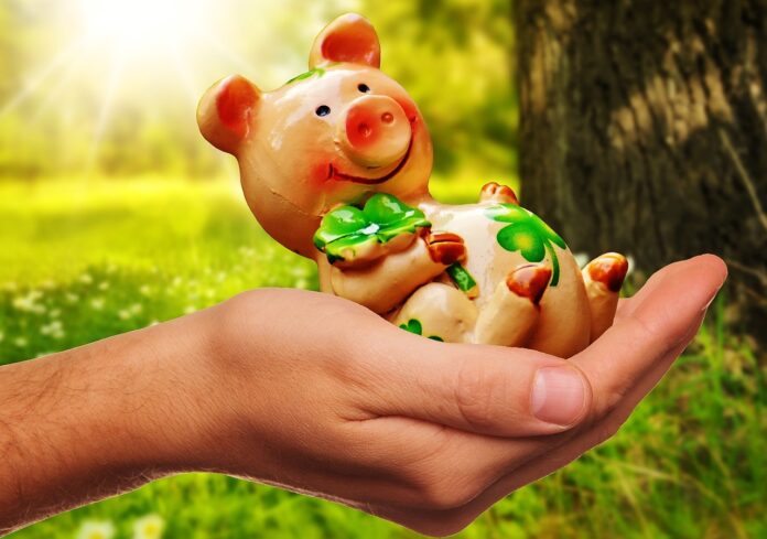 lotteria di beneficenza maiale - un maialino di porcellana con disegnati dei quadrifogli è nel palmo della mano di una donna e sfocato lo sfondo è un prato con un albero