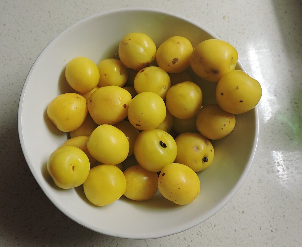 Molti frutti gialli di marmotta in un piatto bianco.