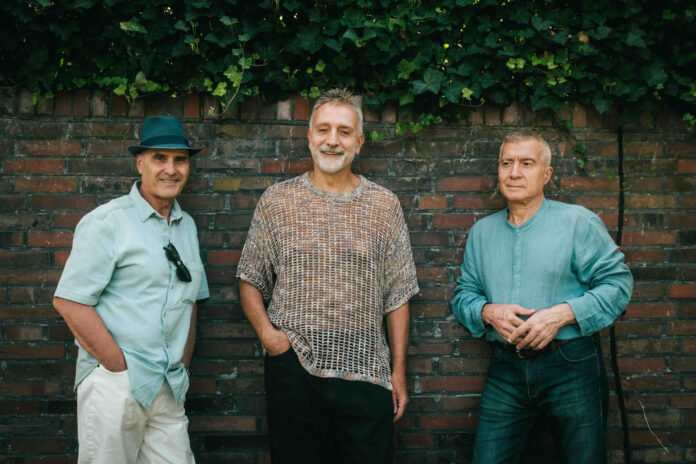 cervello - la band in primo piano