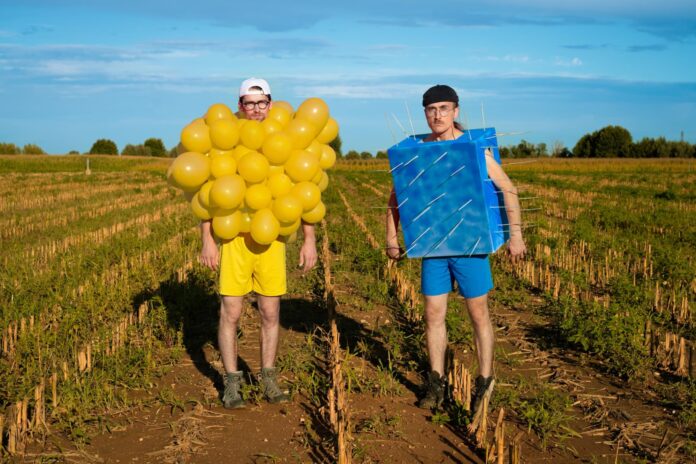 i sordi fotografati in campagna