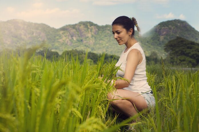 emancipazione femminile - una donna con capelli neri raccolti dietro la nuca, indossa una t shirt e pantalocini corti, è chinata in un campo di grano