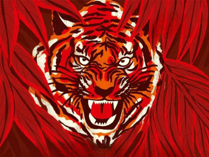 sandokan - nella foto il disegno del muso di una tigre