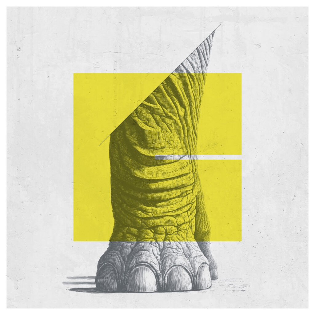 calantha - la copertina del nuovo singolo linee