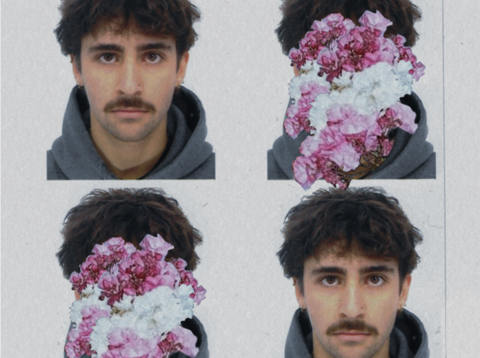 tibi in un collage di immagini