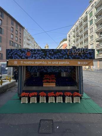 Giornata mondiale malattie rare, un’edicola di fiori per la campagna RareMeansCare