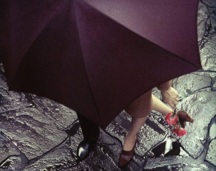 Saul Leiter una finestra punteggiata di gocce di pioggia - nella foto si vede dall'alto un ombrello viola da cui spuntano due piedi di donna con tacco e due piedi di uomo con scarpe nere e si capisce che stanno camminando abbracciati