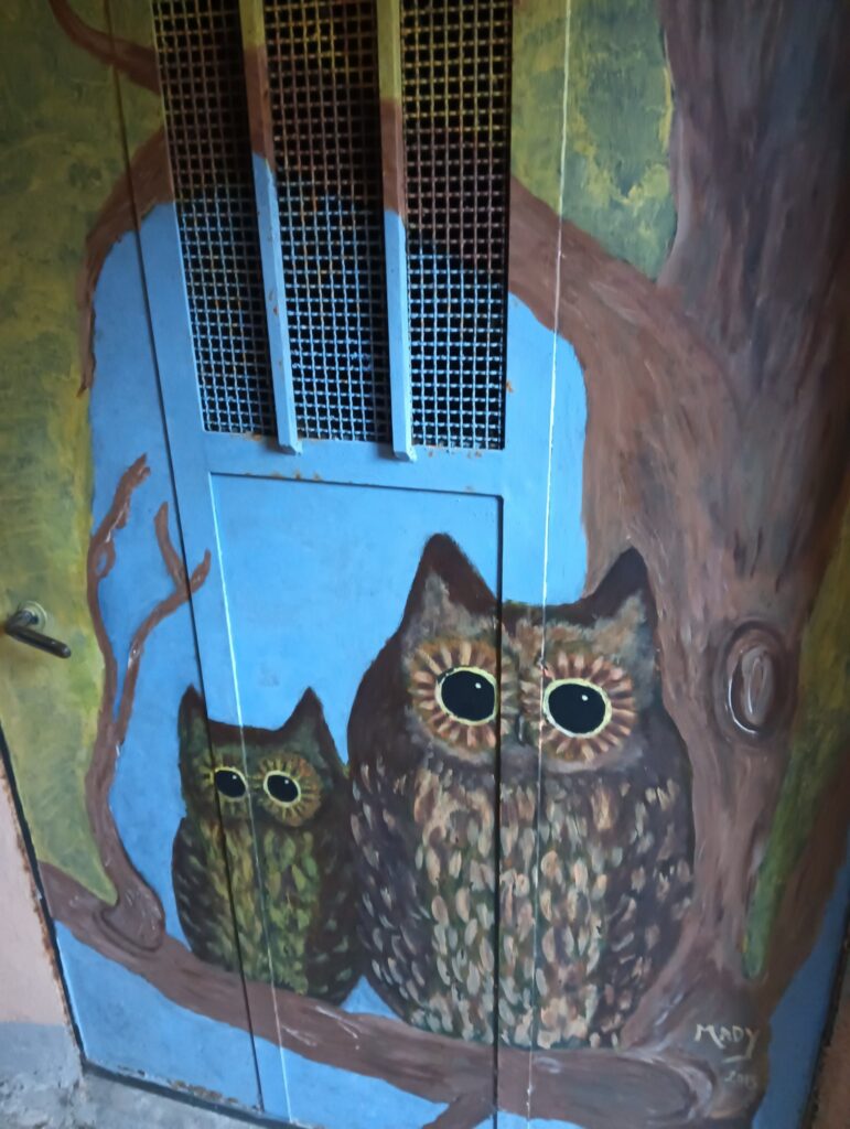 Valloria una porta dipinta di azzurrro cn due gufi disegnati uno piccolo e uno grande