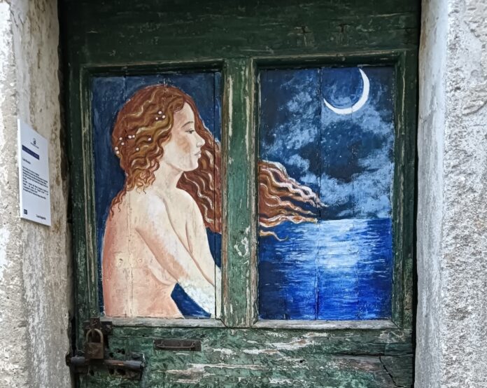 Porte dipinte - nella foto una porta di legno dipinta con l immagine di un asirela messa di profilo e il mare blu con la mezza luna