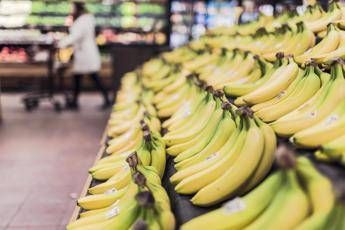 Banana tra potassio e rischio glicemia, meglio acerba o matura? Cosa dice l’esperto