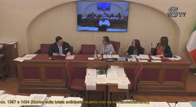 debti famigliari - nalla foto il tavolo conferenze del Senato Italiano con seduti un uomo in giacca e cravatta, al centro una donna con camicia bianca e alla sua suiistgra un'altra donna. sopra di loro appeso al murop c'è un televisore che riprende la conferenza