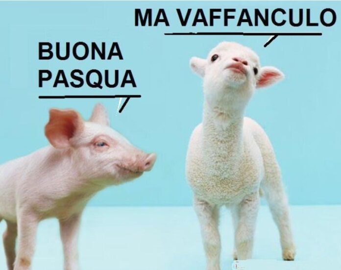 un maialino augura buona pasqua a un agnello che risponde 