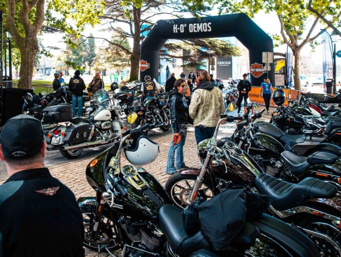 european h.o.g. rally - nella foto un raduno di harley-davidson