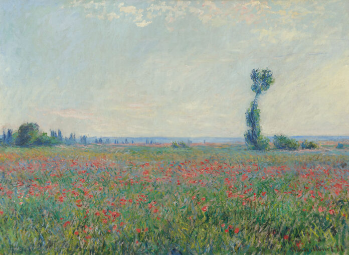 Monet a Van Gogh: a Ferrara, nuovi sguardi sulla natura e la modernità - nella foto il celebre quadro di Monet campo di poapaveri con un prato verde e tantii papaveri rossi, sulla destra un albero