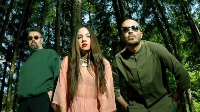 il trio irniano bowland in primo piano in un bosco