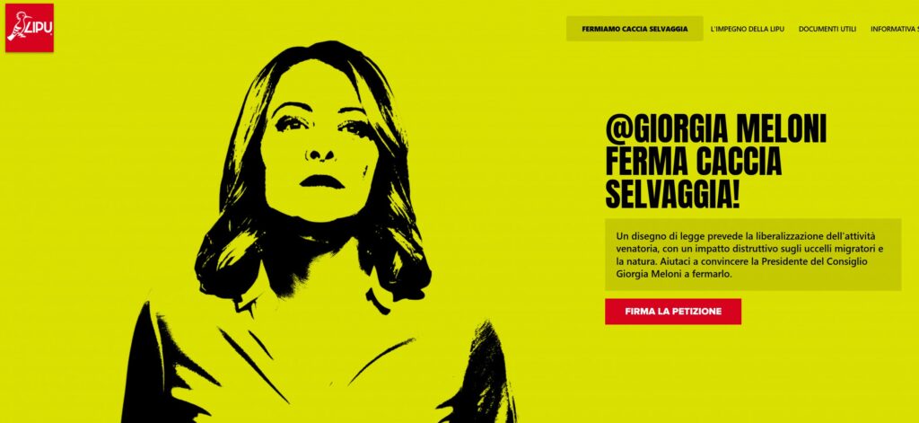 il disegno in bianco e nero su sfondo giallo del viso di giorgia meloni, con capelli lunghi
