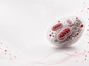 Ricerca, studio italiano svela il ruolo dei mitocondri nell’invecchiamento sano