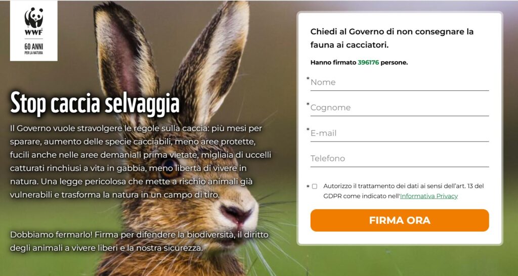 Nuova legge sulla caccia: al via le petizioni contro il DDL 1552 - nella foto un coniglio marrone