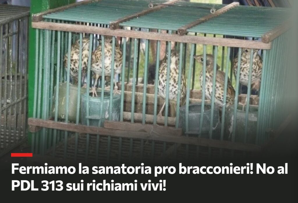 petizione change.org