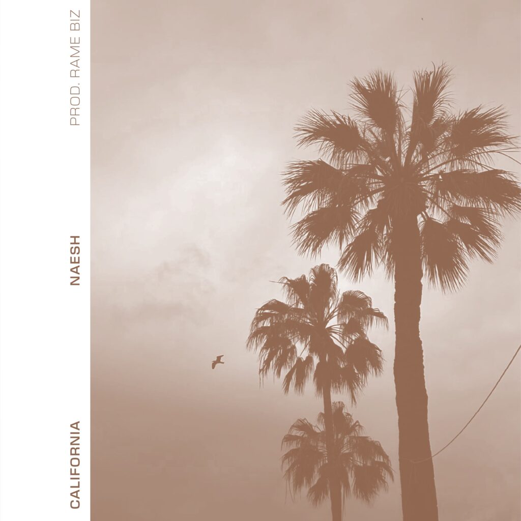 naesh - la copertina del nuov singolo california, che raffigura delle palme mosse dal vento