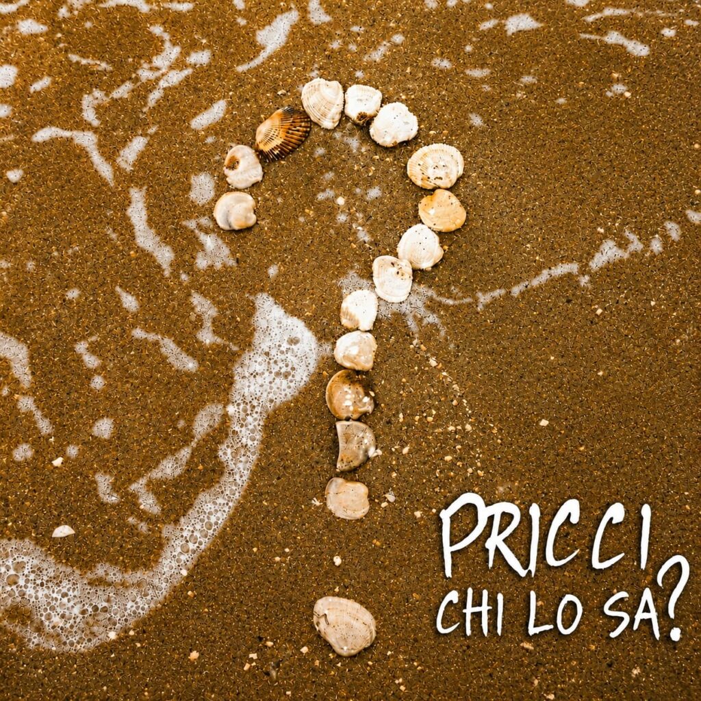 pricci - la copertina del nuovo singolo