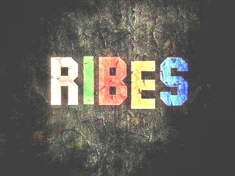 Ribes Indebitato è una confessione ironica e amara - Zetatielle Magazine ribes - indebitato -