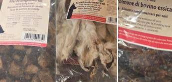 Orecchie di coniglio o polmone di cavallo? Lo snack ‘choc’ per i cani nel cuore di Cortina